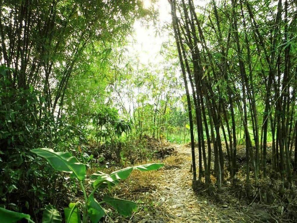 Green Village Homestay Кантхо Екстер'єр фото